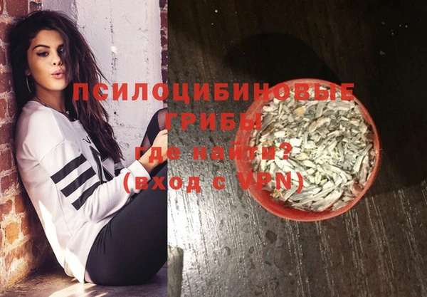 гашик Дмитров