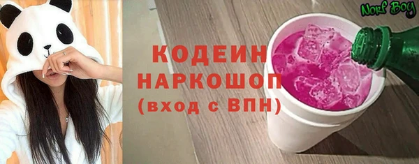 гашик Дмитров