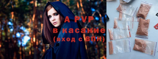 гашик Дмитров