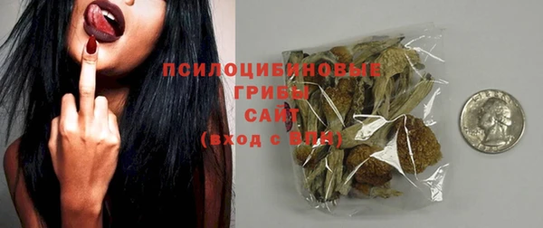 дмт Елабуга