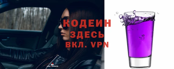 гашик Дмитров