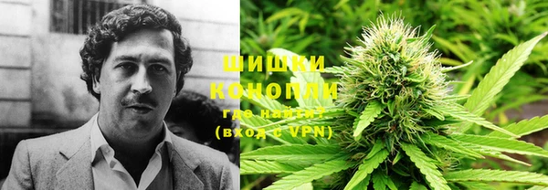 гашик Дмитров