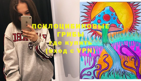 прущая мука Ельня