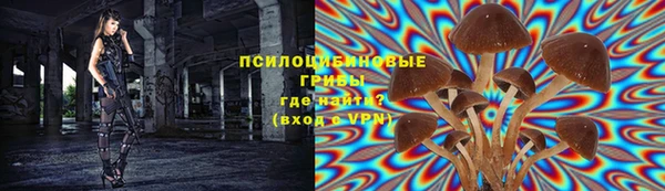 mdpv Дмитровск
