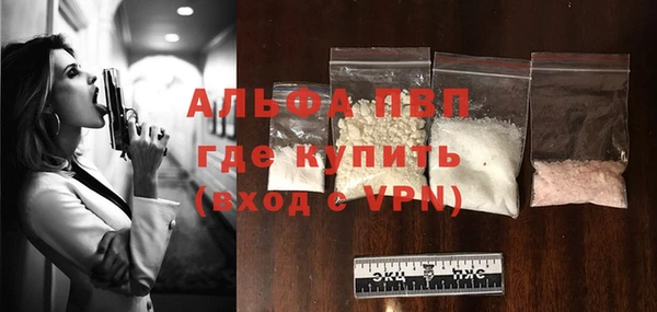 гашик Дмитров
